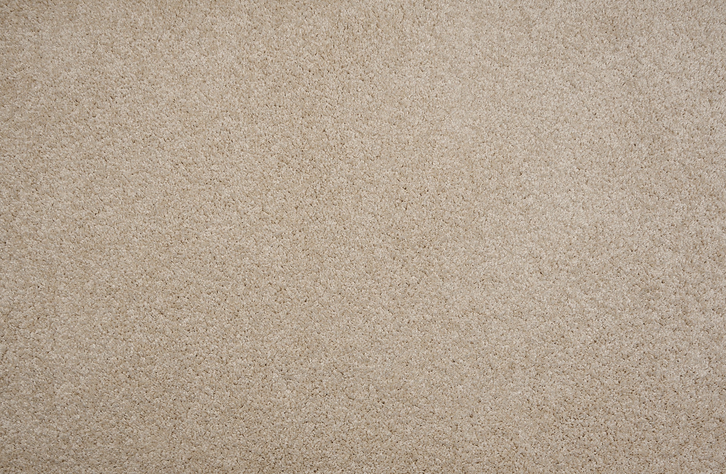 Stanton Leland carpet
