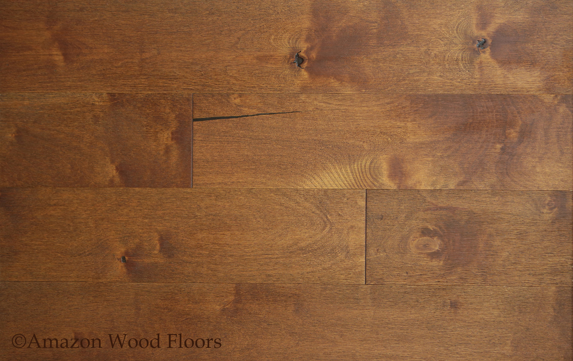 Betula Series