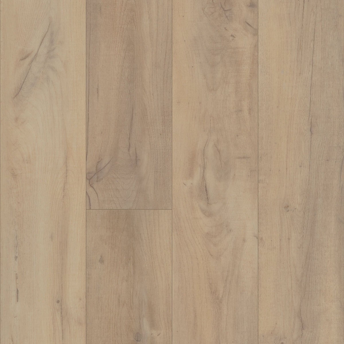 Noble Oak