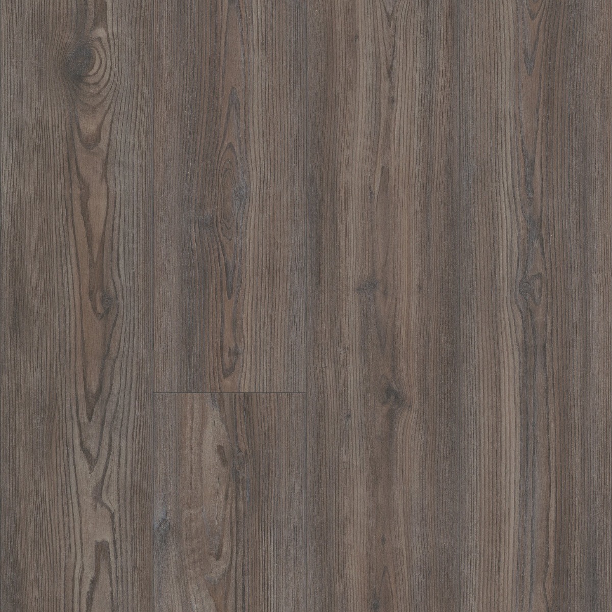 Keystone Pine