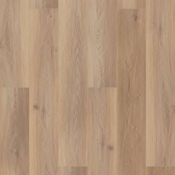 Wiltshire Oak