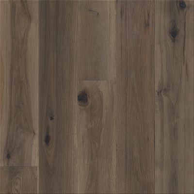 Transcendence Elevation (AA806-15036)