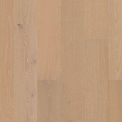 Noble Hall Countess (AA816-01011)