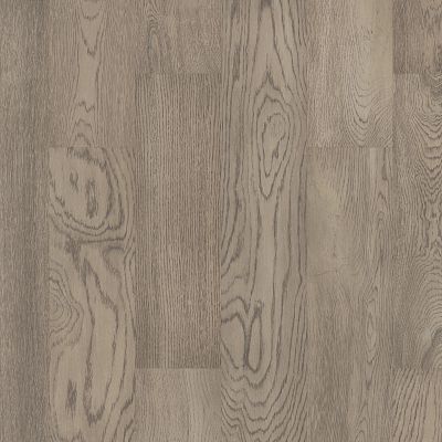 Noble Hall Baroness (AA816-05016)