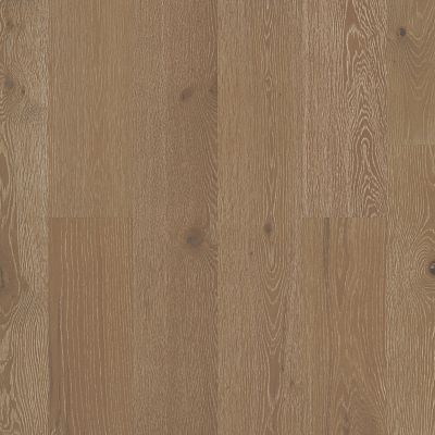 Noble Hall Majesty (AA816-07014)