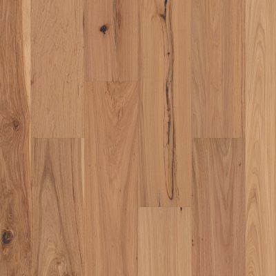 Imperial Pecan Harvest (AA828-11063)