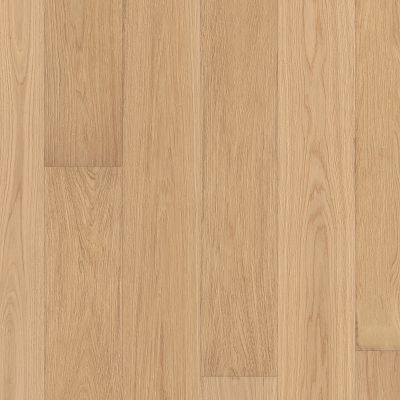 Carpentry Oak Sunlit (AA854-11104)