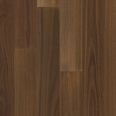 Valencia Walnut Raw Umber (AA861-17068)